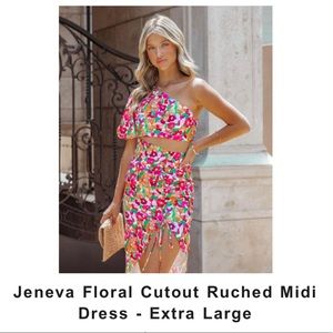 Vici dress.